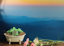 Load image into Gallery viewer, Bath bomb - 3.5 oz - Sea Turtle