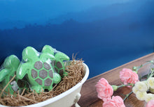 Load image into Gallery viewer, Bath bomb - 3.5 oz - Sea Turtle