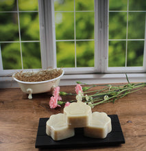 Load image into Gallery viewer, Clean Paws - Woof approved