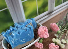 Load image into Gallery viewer, Surfs Up, Beaches! handmade soap