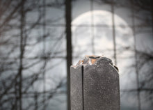 Load image into Gallery viewer, Activated Charcoal - Bergamot tea & sage handmade soap