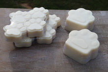 Load image into Gallery viewer, Clean Paws - Woof approved