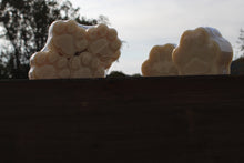 Load image into Gallery viewer, Clean Paws - Woof approved