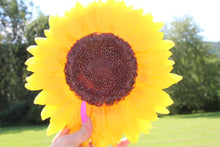 Load image into Gallery viewer, Yellow Sunflower