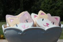 Load image into Gallery viewer, Bath bomb - 6.5 oz - Cat